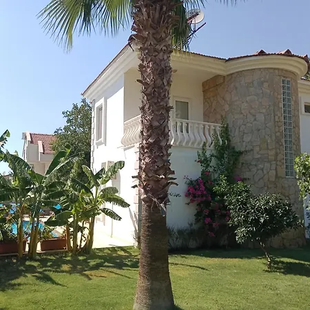 Villa Palm