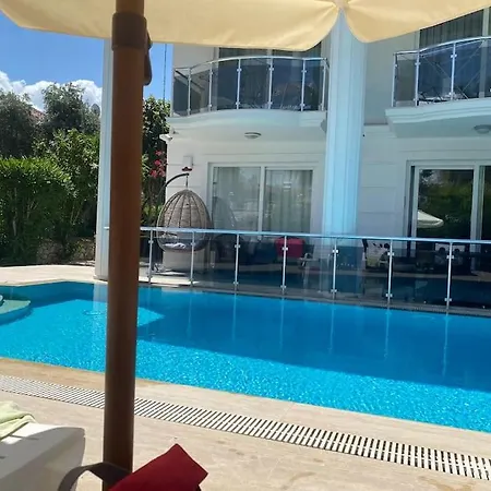 Villa Palm