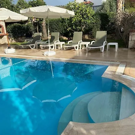 Palm Villa *