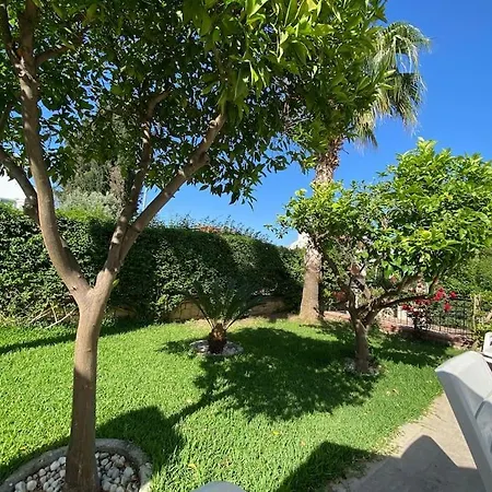 Villa Palm