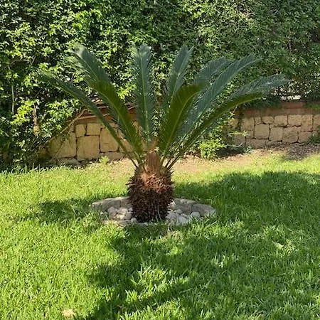 Villa Palm