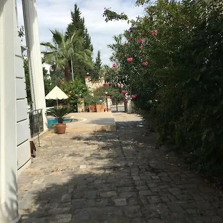 Palm * Fethiye