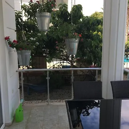Palm Villa *