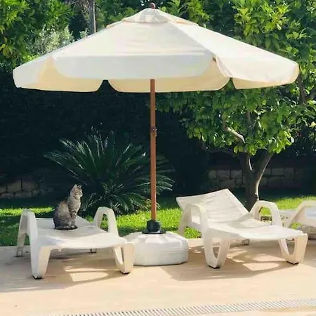 Palm Villa *