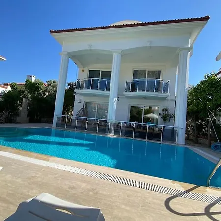 Palm Villa