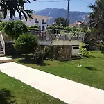Palm Villa *