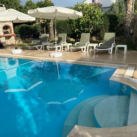 Villa Palm